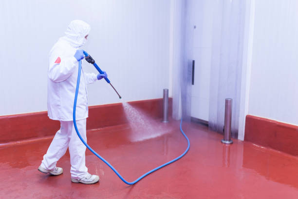 Paint Preparation in Ballenger Creek, MD